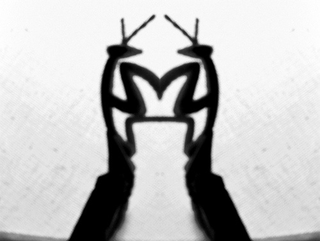 Illustration for article titled Shooting Challenge Rorschach Gallery
